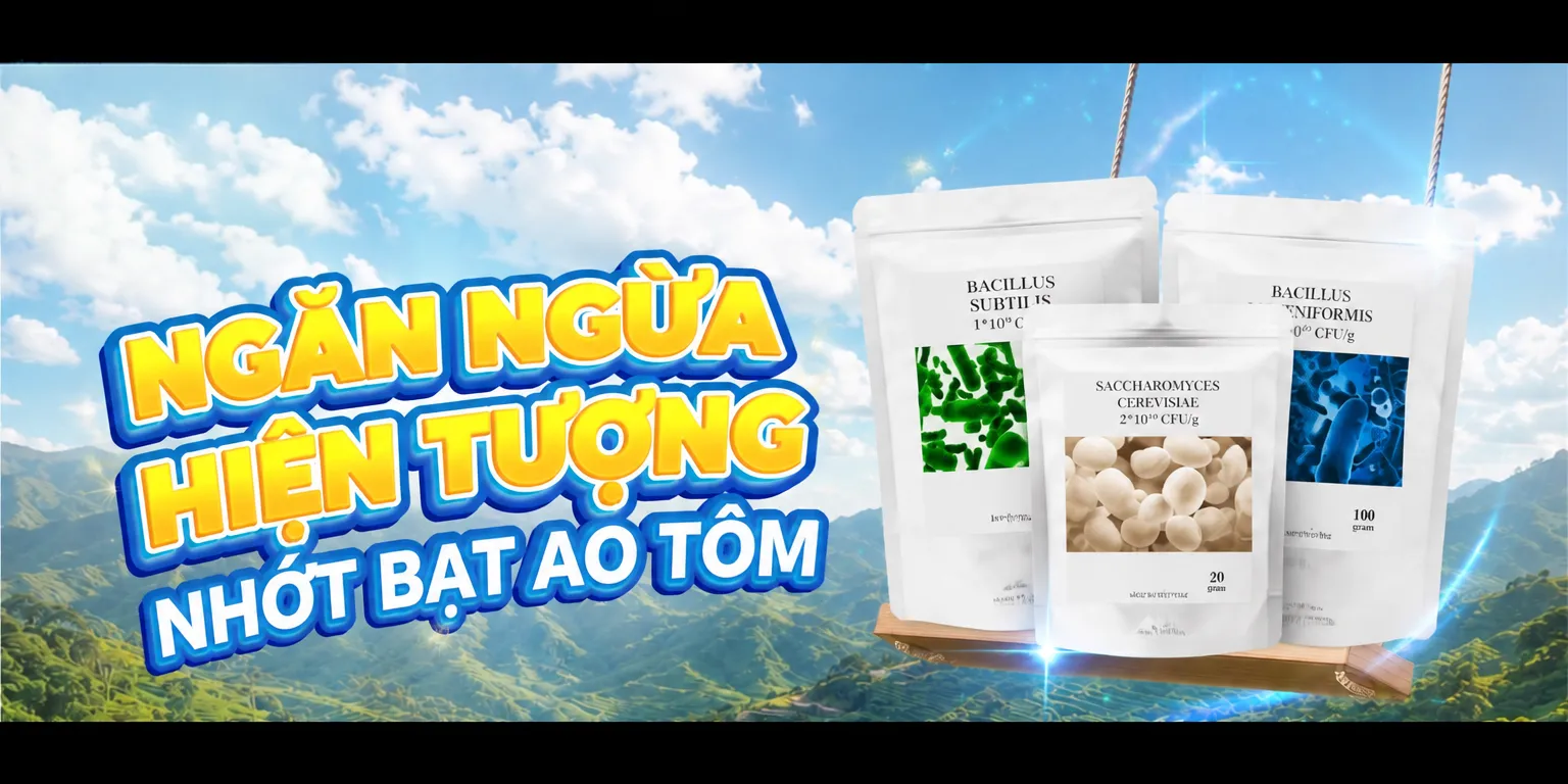 Banner giải pháp vi sinh Aquaviet